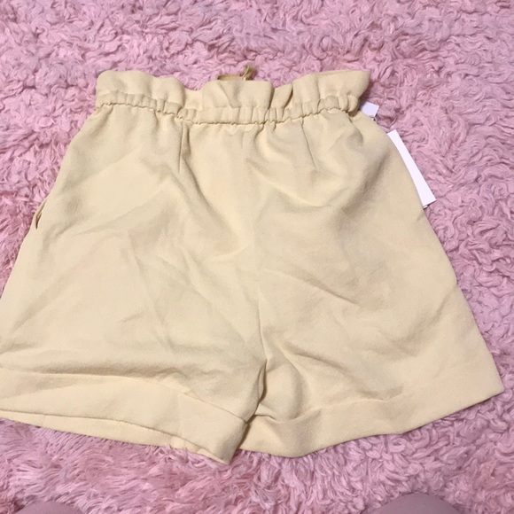 NWT! Aritzia Lucienne shorts - Picture 8 of 8